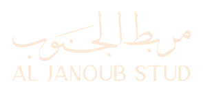 Al Janoub Stud
